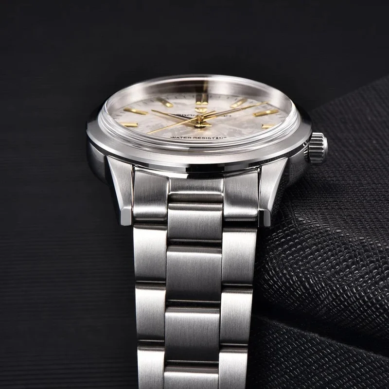 PAGANI DESIGN PD-1734 Men's Wrist Watch, Meteorite Dial Stainless Steel Band 100M Waterproof Business Casual Quartz Watch