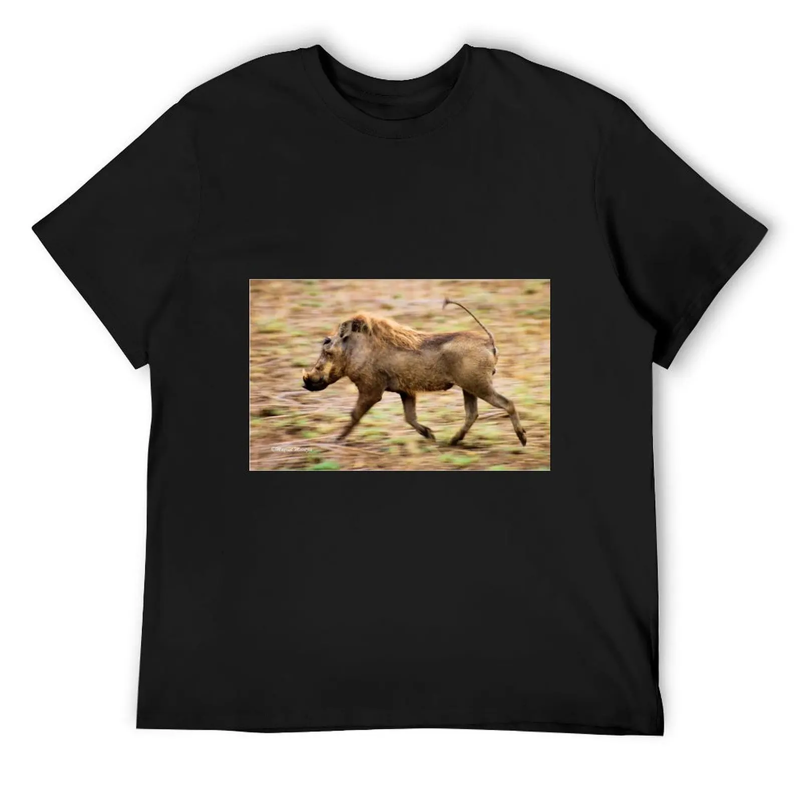 THE WARTHOG, Phacochoerus aethiopicus - The signal catcher ! T-Shirt heavyweights for a boy mens shirts graphic tee