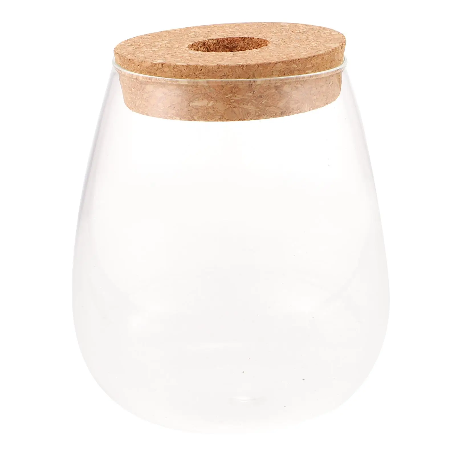 

Hydroponic Plant Bottle Glass Terrarium Vase Container Micro Landscape DIY Bryophyte Ecological Bottle Home Decoration Flowerpot