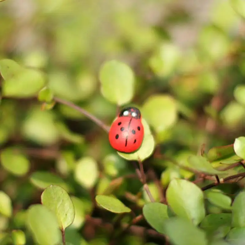 97qd 10pcs mini coccinella coccinella per bambole ornamenta arredamento da giardino