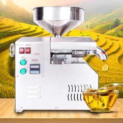 Oil Press Machine Stainless Steel Commercial 15Kg Per Hours Peanut Sunflowers Squeeze
