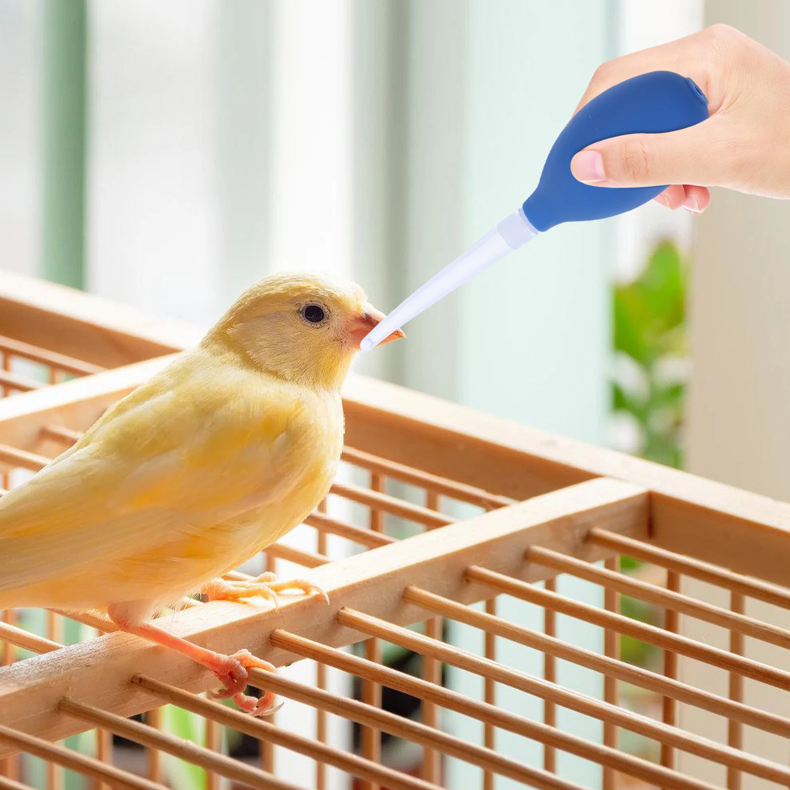 

Capsule Feeding Apparatus Pet Pacifier Replacement Dropper Parakeet Feeder Squab Weaning Supply Portable