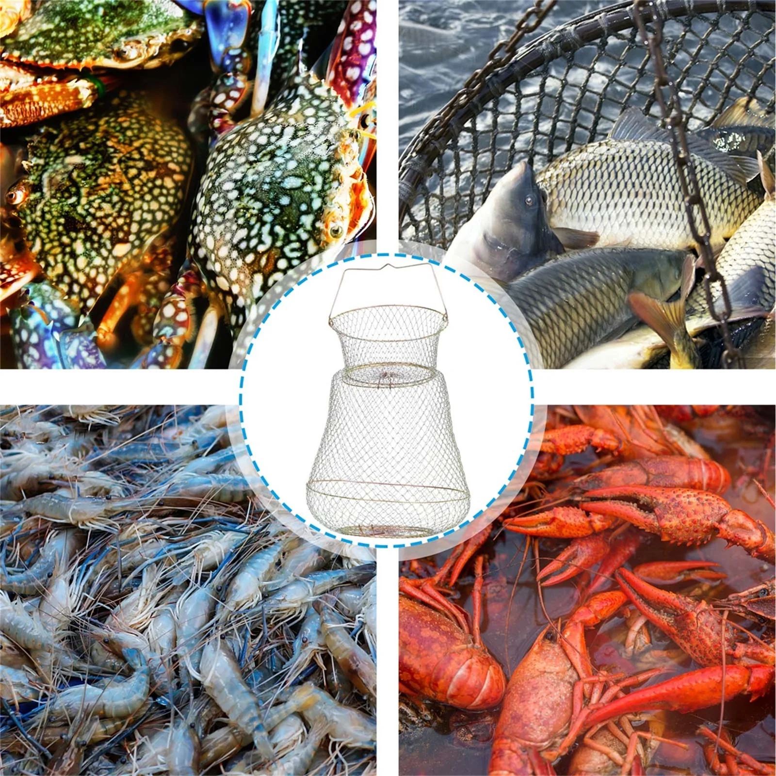 

Fish Basket Accessories Outdoor Fishing Container Tools Portable Crab Cage Net Accessory Folding Case Hole
