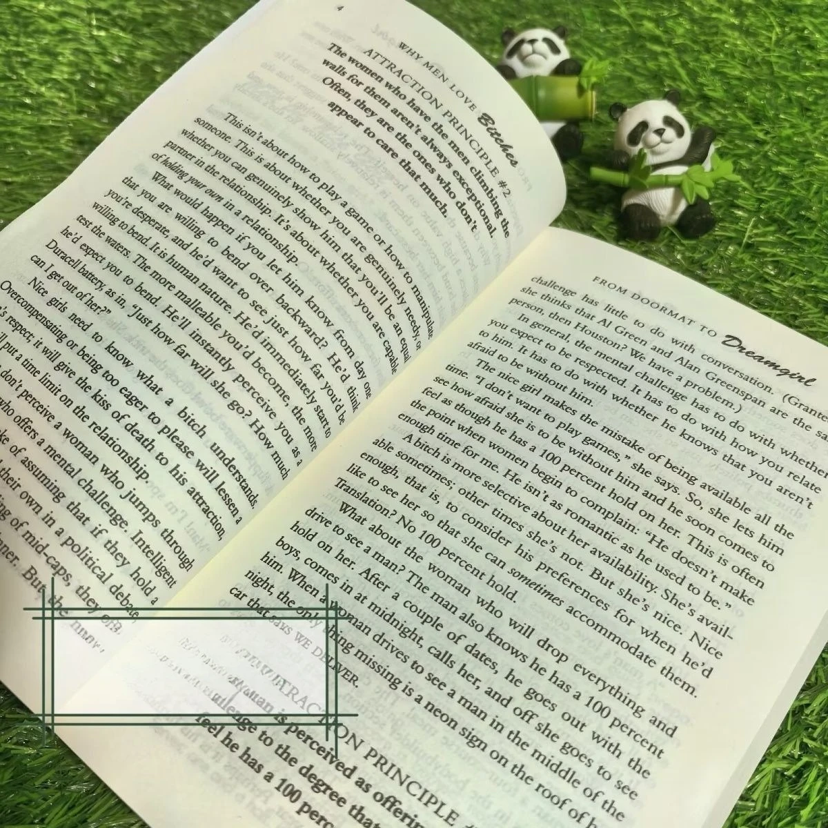 النساء السيئات، بعض الناس يحبون الحب والسحر والثقة بالنفس، كتب الروايات الإنجليزية، الكتب الإنجليزية، فلسفة Libro Phil فلسفة #6