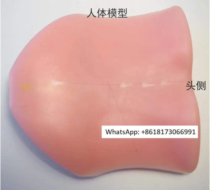 Intervertebral Foramen Simulation Training Model, Human Back Model, Soft and Piercing
