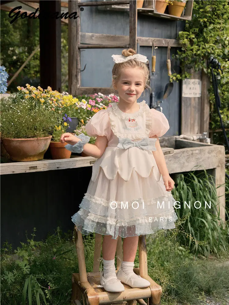 Baby Girls Sweet New Summer French Pink Birthday Party Cake Embroidery Dress Kids Luxury Puff Sleeve Lace Bow Mesh Princess Gown