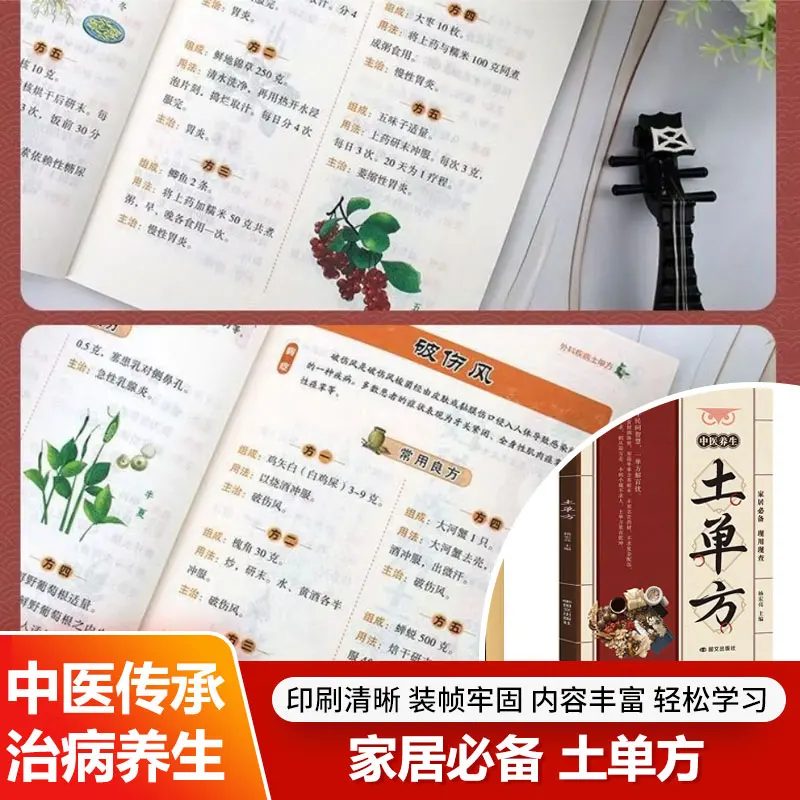 Traditional Chinese Medicine Home Remedies Practical Folk Herbal Recipes Constitution Balancing Family Health Wellness Guide