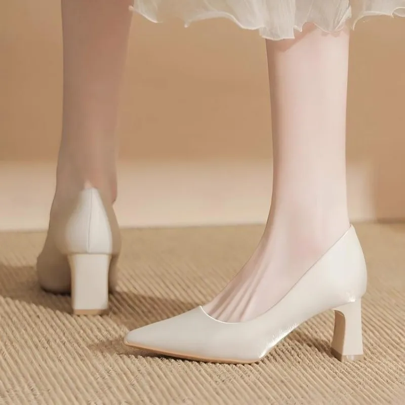 

Women's Stylish Chunky Heels, Elegant Point Toe Dress Pumps, Fashion Buckle Strap Heels