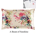 A beam of  sunshine