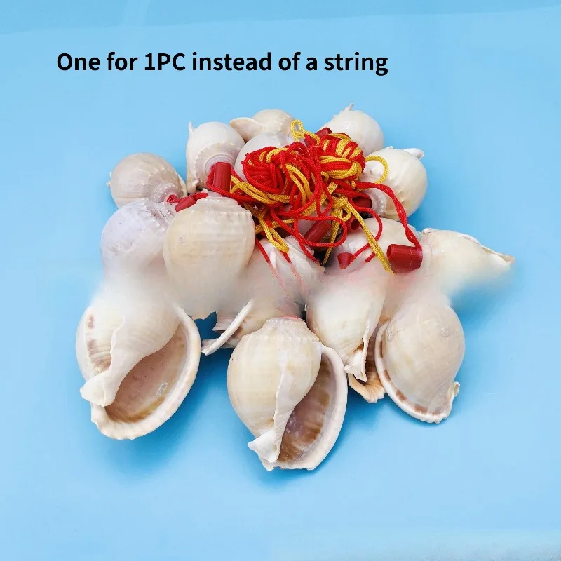 10Pcs Natural Conch Whistle Hand‑made Seashell Wind Instrument Kids Party Toy Portable Shell Ornament Holiday Gift