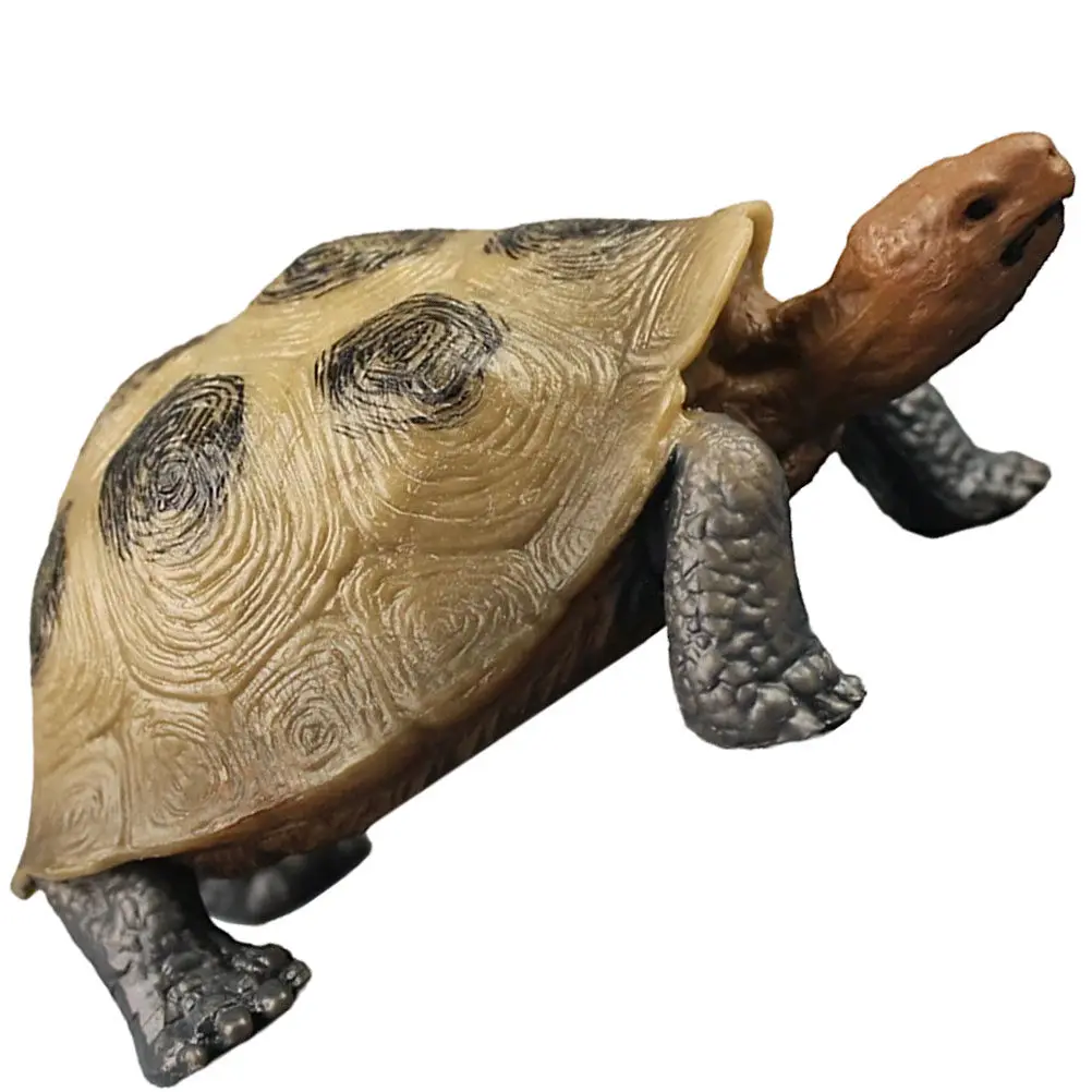 

Plastic Land Tortoise Realistic Bright Color Detailed Educational Lifelike Land Turtle Ocean Animal Desktop Cognitive Decor