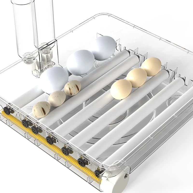 WONEGG High Quality Automatic Egg Incubator, Affordable Chicken Hatching Machine view 6