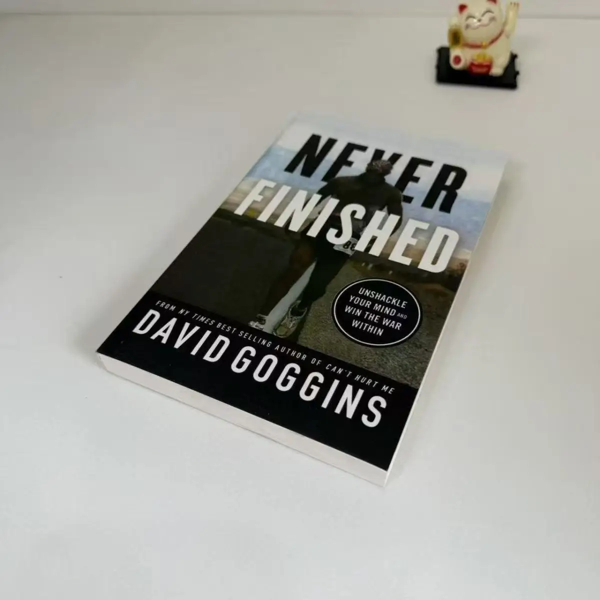 

Никогда не готово Дэвида Гогогенс, нечакуйте свой разум и победу в пределах войны