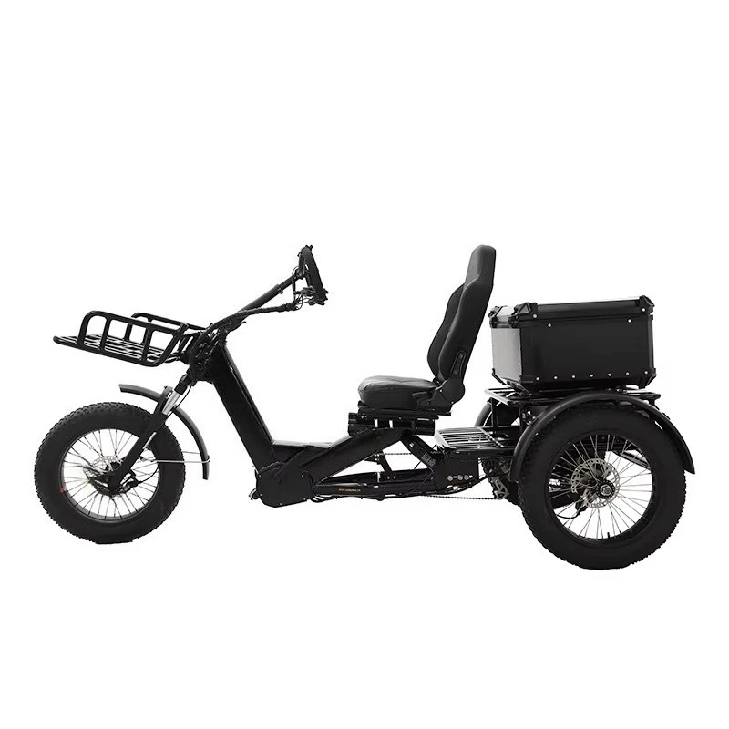 1750W Dual Motor  3 Wheel Electric Cargo Trike, 48V 60Ah Battery, Tough Off Road E Tricycle, 200KM