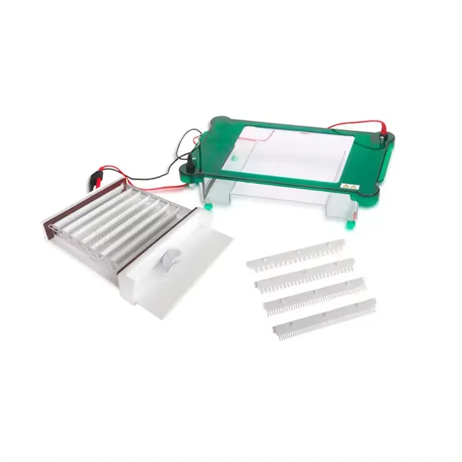 

BN-SPHT DNA Sequencing Electrophoresis Cell Vertical Electrophoresis Tank