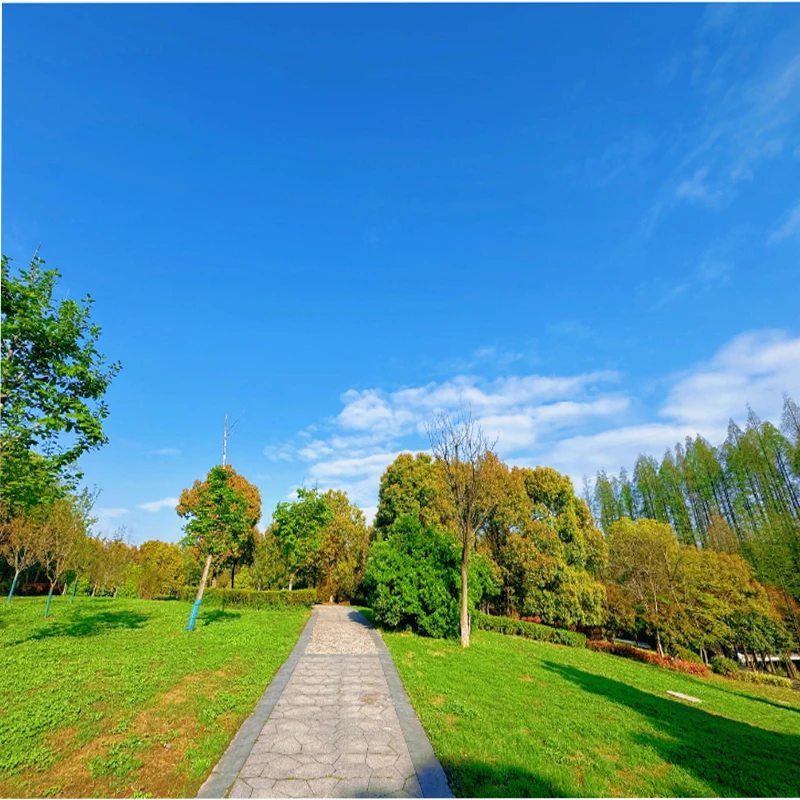 

T-MOTOR AT3520 Long Shaft KV550 KV720 KV850 Brushless Motor For Long Palette Drones Fixed Wing UAV