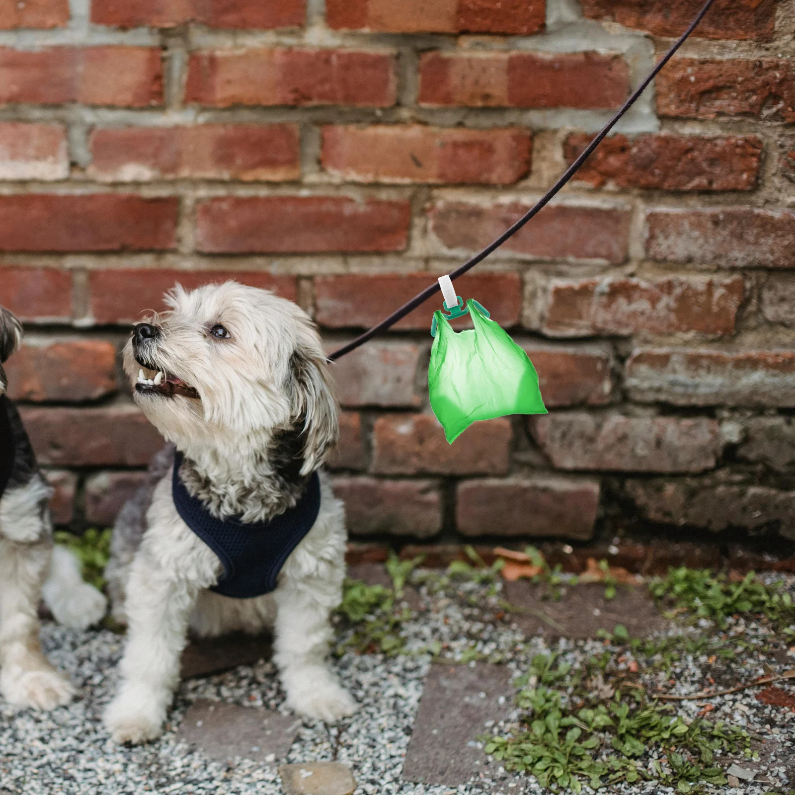 

5Pcs Poop Bag Holder Dog Waste Bag Dispenser Leash Clip Waste Carrier for Walking Running Leash Clips Doggy Poop Bags Holder