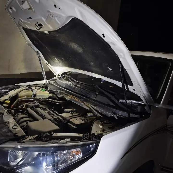 

1 комплект газовых стоек для Chery Tiggo 3 для DR Motor DR5 2005-2023, передняя опора подъема капота, демпфер, амортизатор, опорные стержни