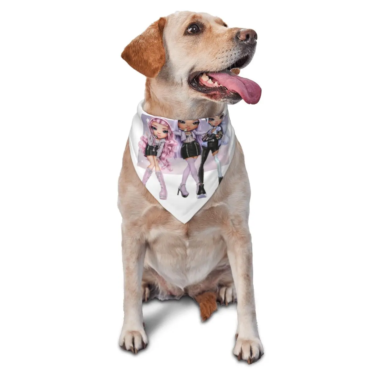 Funny Rainbow High … - image