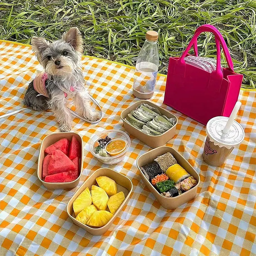 1pcs, Ultra Large Picnic Blanket, Portable Waterproof Picnic Blanket, Beach Checkered Picnic Mat, Camping Lawn Picnic Blanket