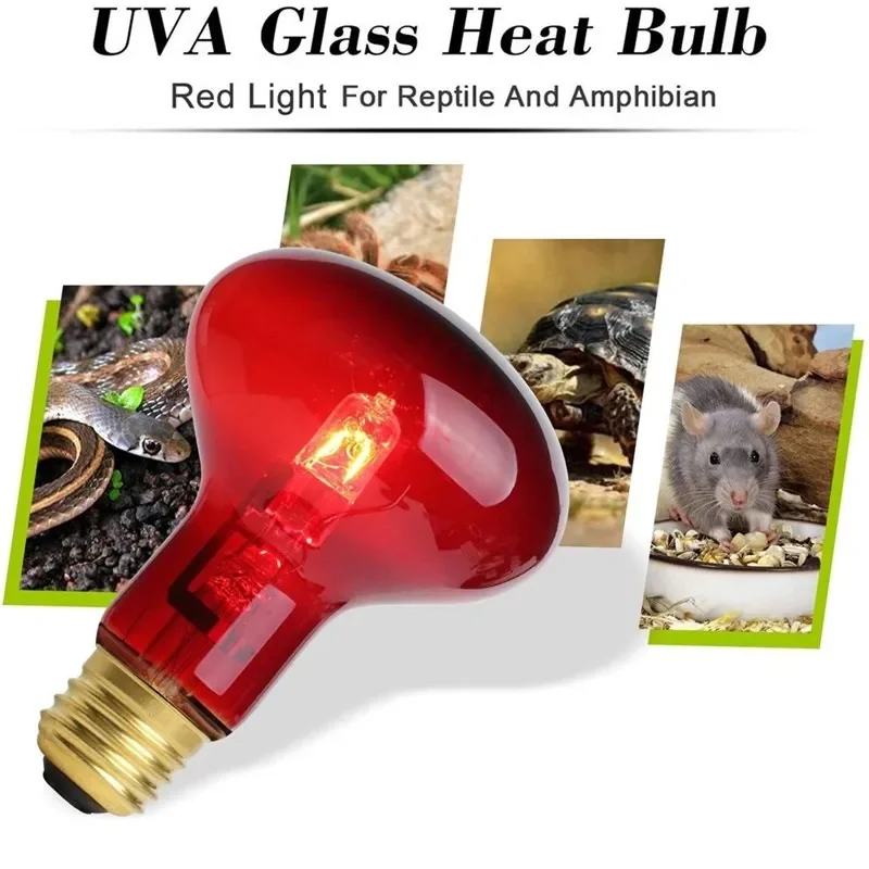 Reptile 40/60W Light Infrared Basking Spot Lamp Turtle Lizard Heating Lamp for Bearded Dragon Bulbs Reptiles Amphibian 220V