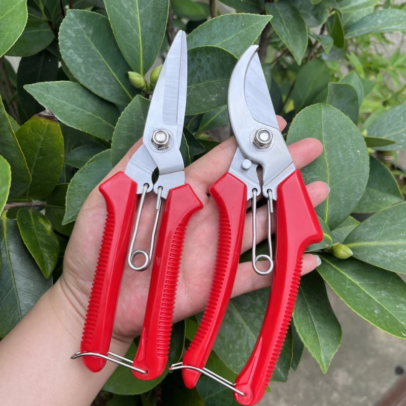 Straight Curved Blade Pruning Shears Stainless Steel Anti-Slip PP Handle Garden Scissors for Bonsai Household Use Gardening Tool