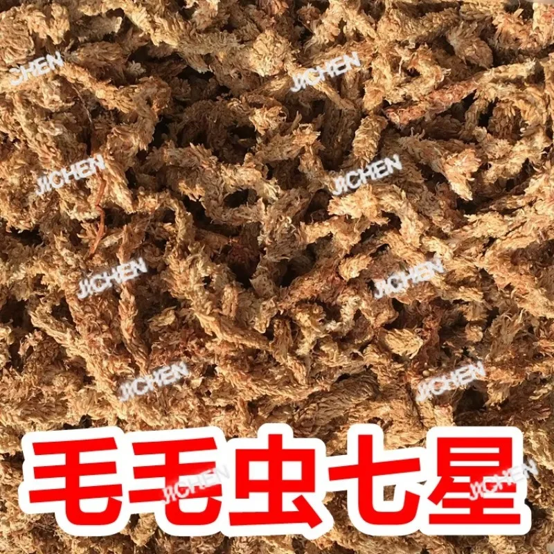 

QZT Водяной Мох Сушеный Мох Бабочка Орхидея Орхидея Специальный почвен Сочный инвентиленный растительный питательный почвен