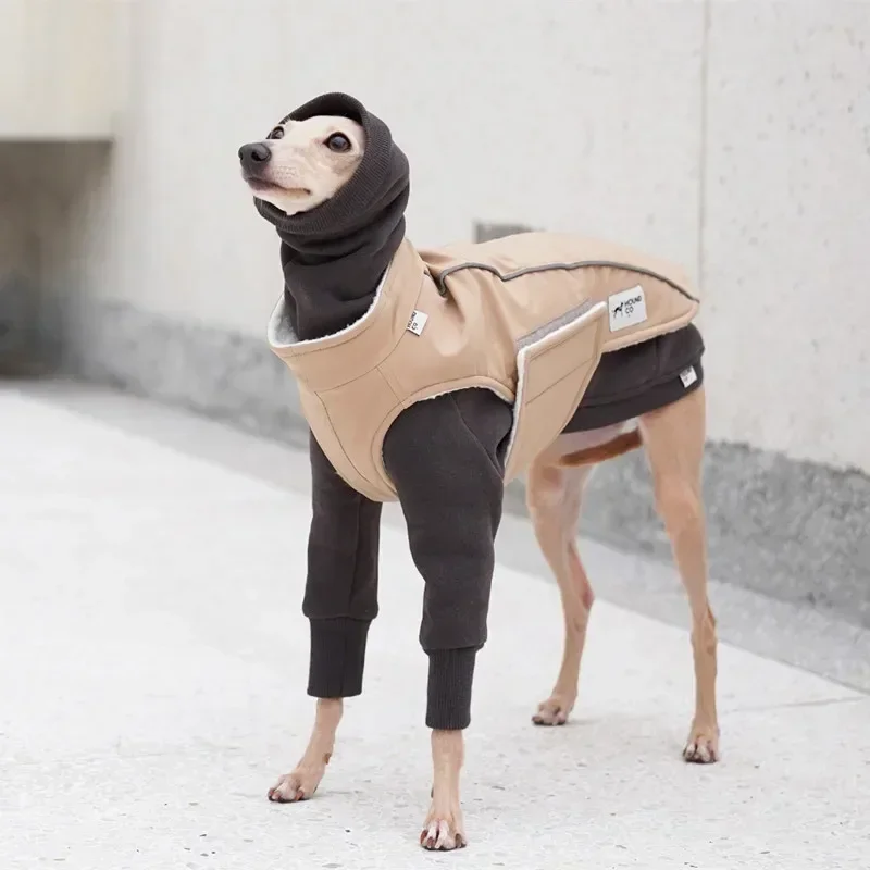 

Explore Series Luxury Dog Clothes Whipbit Italian Greyhound Clothes Design Pet Clothes Dogs Accessories ropa para perros