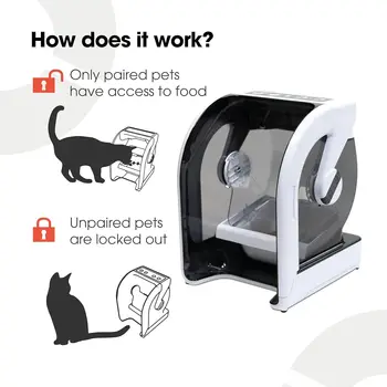 Microchip Pet Feeder with Included ID Disc for Cats and Small Dogs BPA Free Bowl and Enclosed Back BPA and Phthalates Free 3