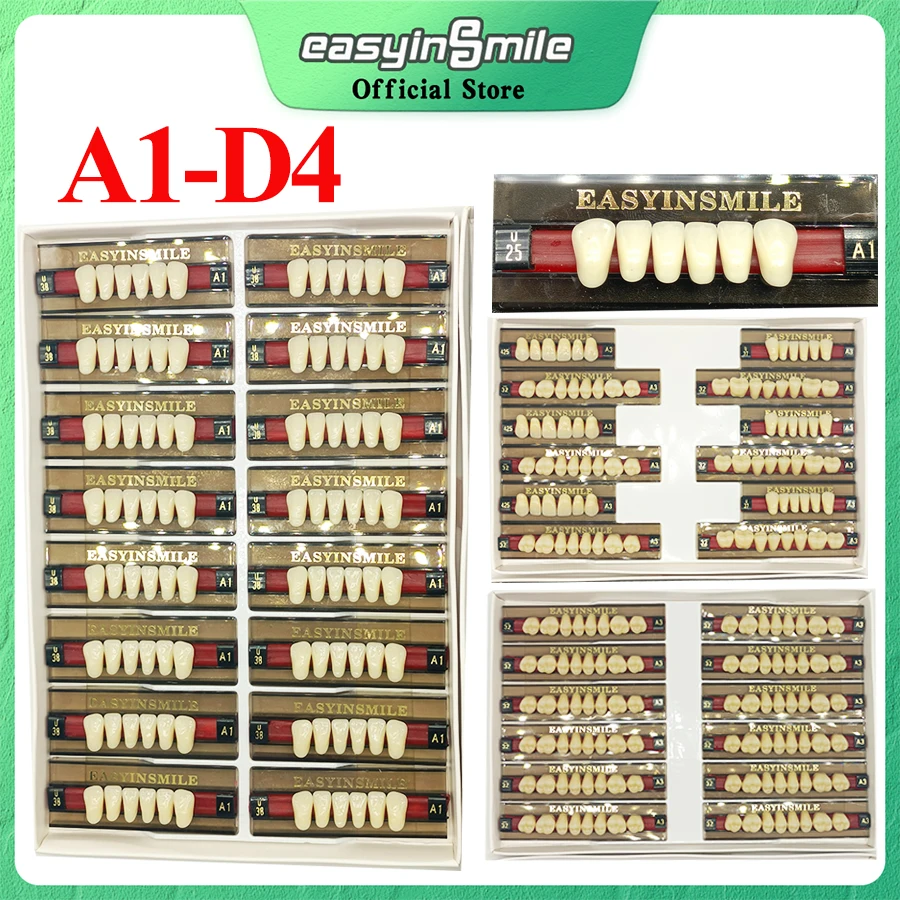 #18 Latest Dental Teaching Models Offers