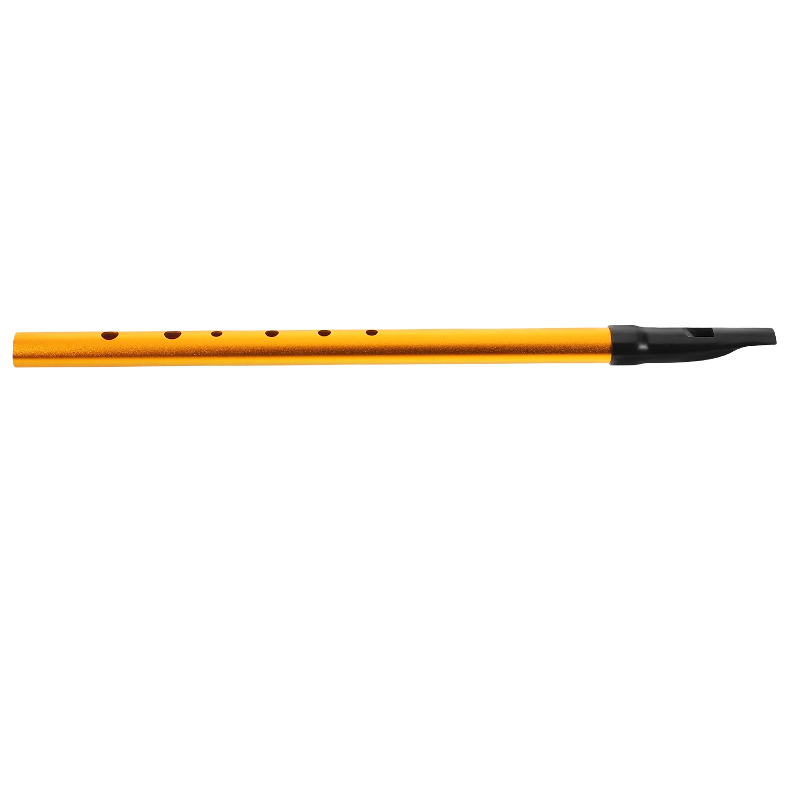 

Beginner Irish Whistle 6-hole C Key Recorder Flute Tinwhistle Black Color Kids Musical Instrument with Lanyard