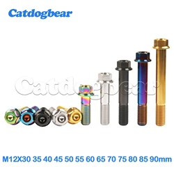 Catdogbear Titanium Bolt M12X30 35 40 45 50 55 60 65 70 75 80 85 90mm Hex Head Flange Screw for Auto Motorcycle Modifying