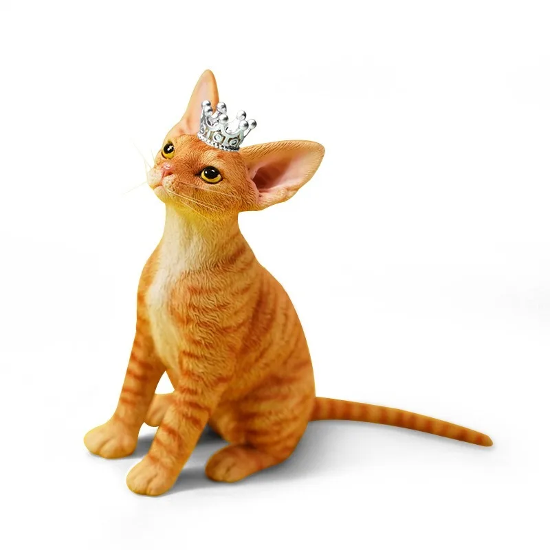 Jxk 1/6 Scale Devon… - image