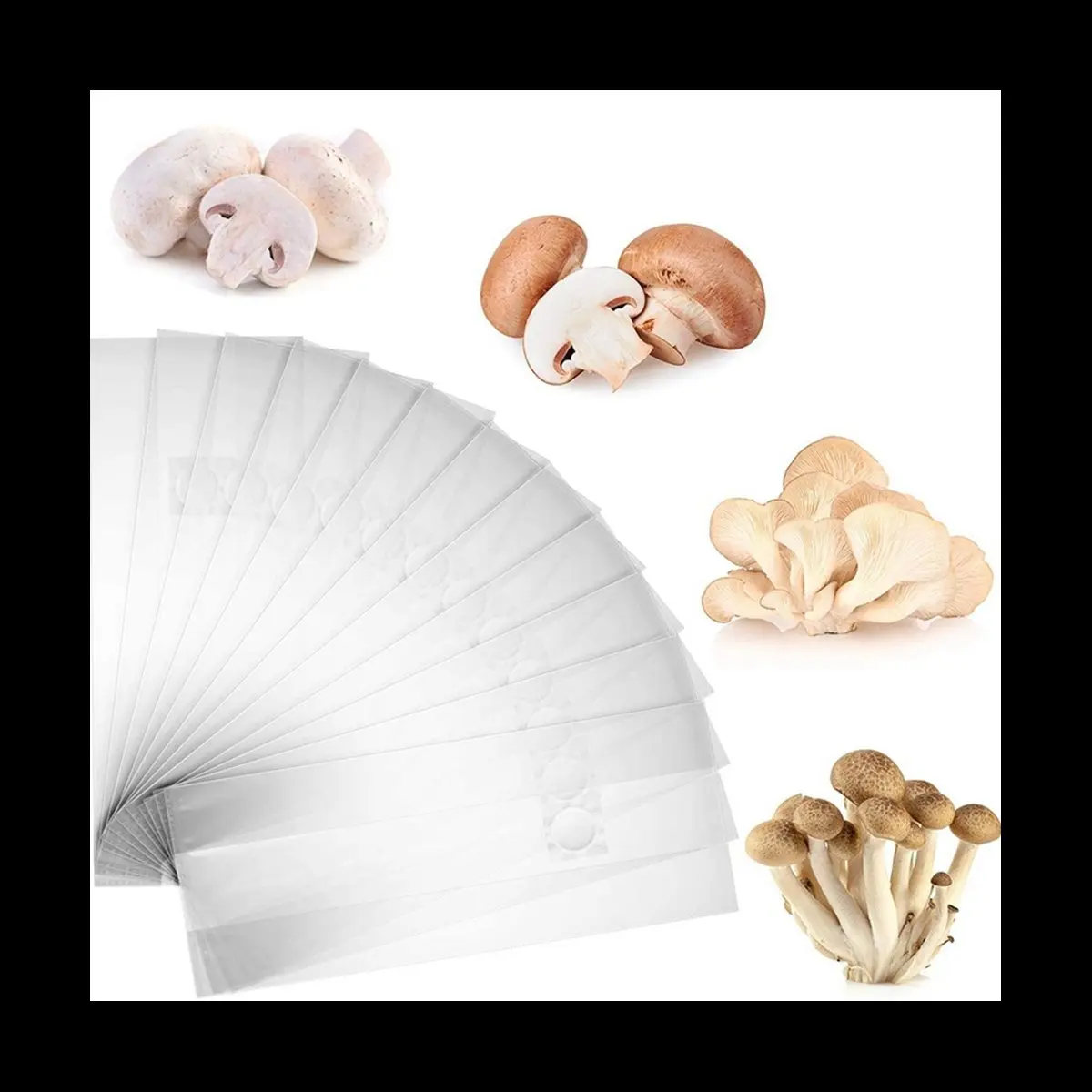 NOCM 100Pcs Mushroom Growing Bag Spawn Bags Thick 6 Bags 5.9inchx13.8inch 0.2 Micrometre Filter Breathable Autoclavable
