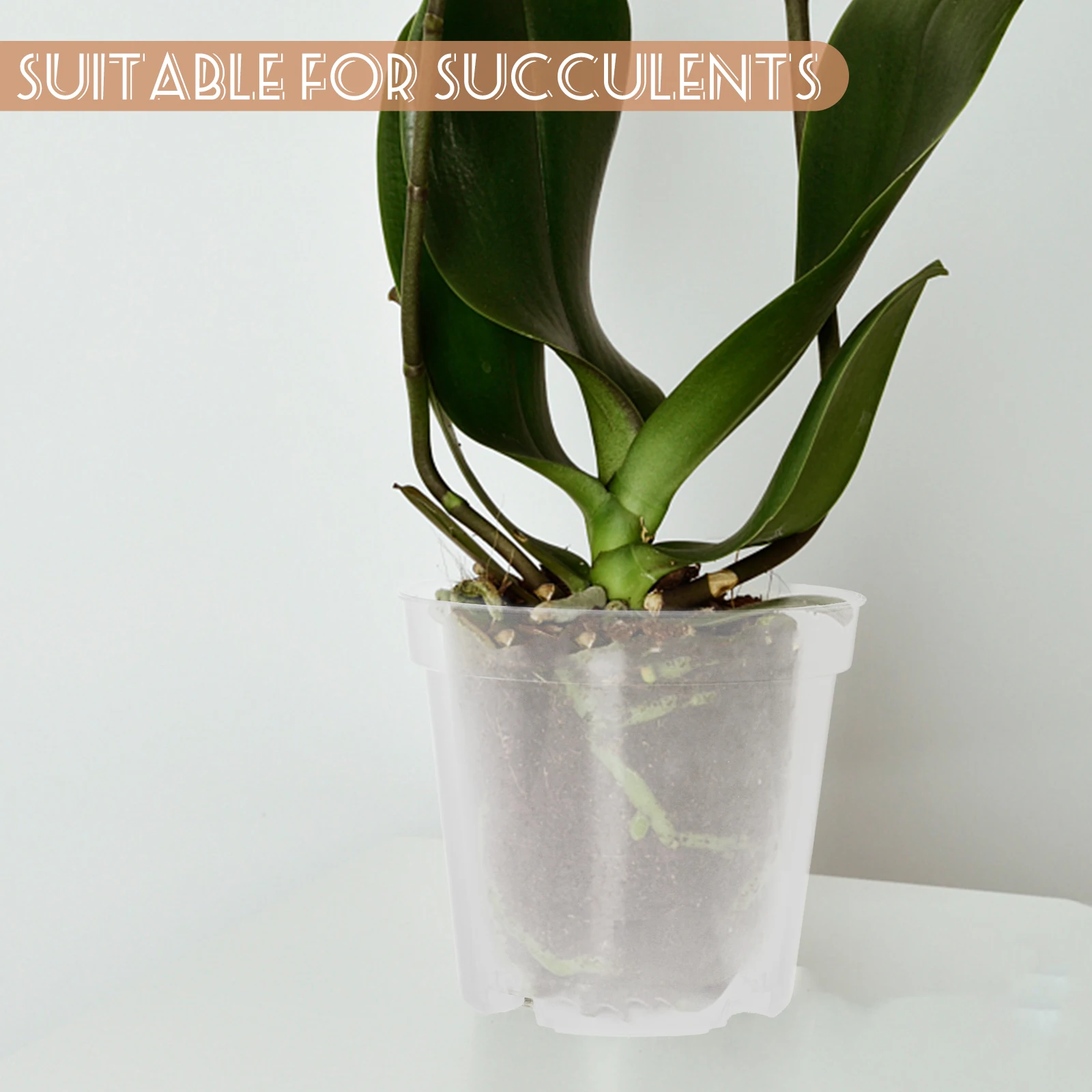 

30Pcs Clear Plastic Nursery Pots Transparent Starter Planter for Succulents Orchid Plants Drainage Holes Garden Flower Pot