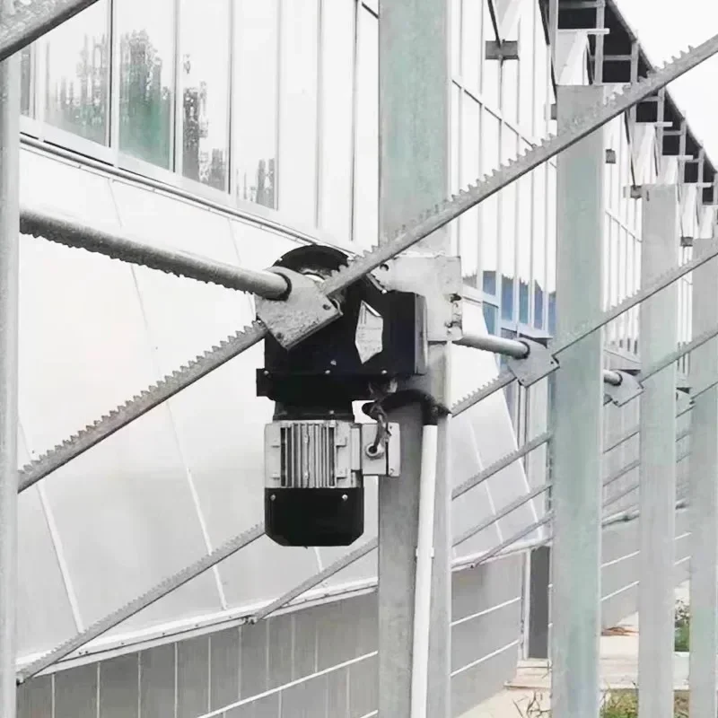 

Efficient Special Motor for Greenhouse Curtain System Agricultural Automation Equipment for Horticulture Hot Sales