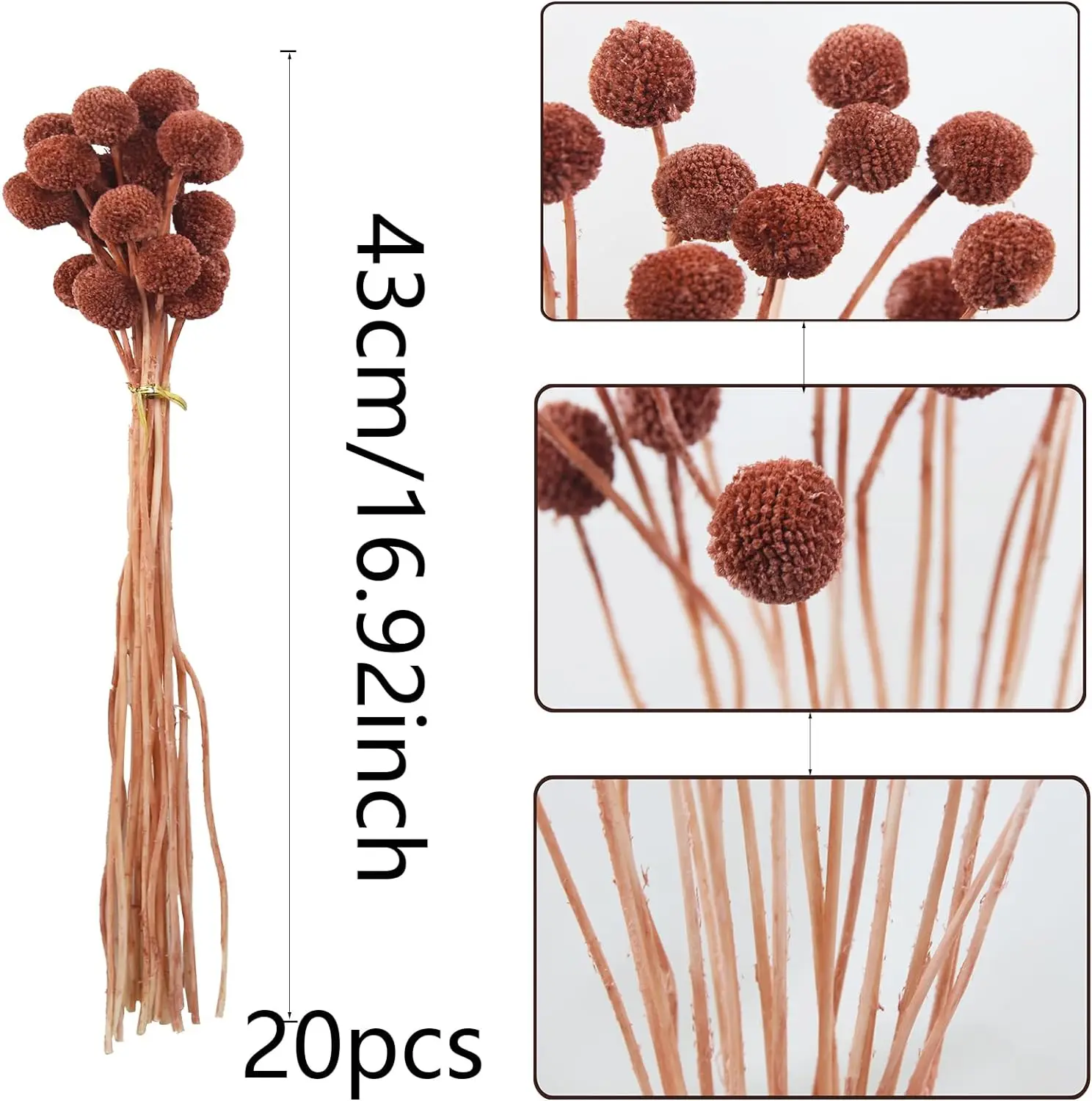 

20 Pcs Dried Flowers Craspedia Billy Balls Flowers Billy Buttons Blue Dried Floral Bouquet Arrangements for Wedding Home Tall Va