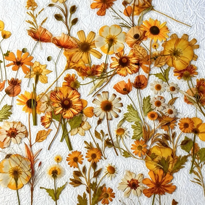 50Pcs PET Natural Floral Stickers, Clear Flower Decals, Aesthetic DIY Decor For Journal Scrapbook Diary Craft Stationery