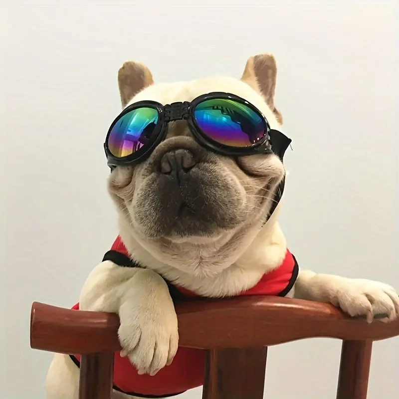 1pc of Collapsible Dog Glasses with Adjustable Shoulder Straps for Small and Medium-Sized Dogs Creating A Stylish Appearance