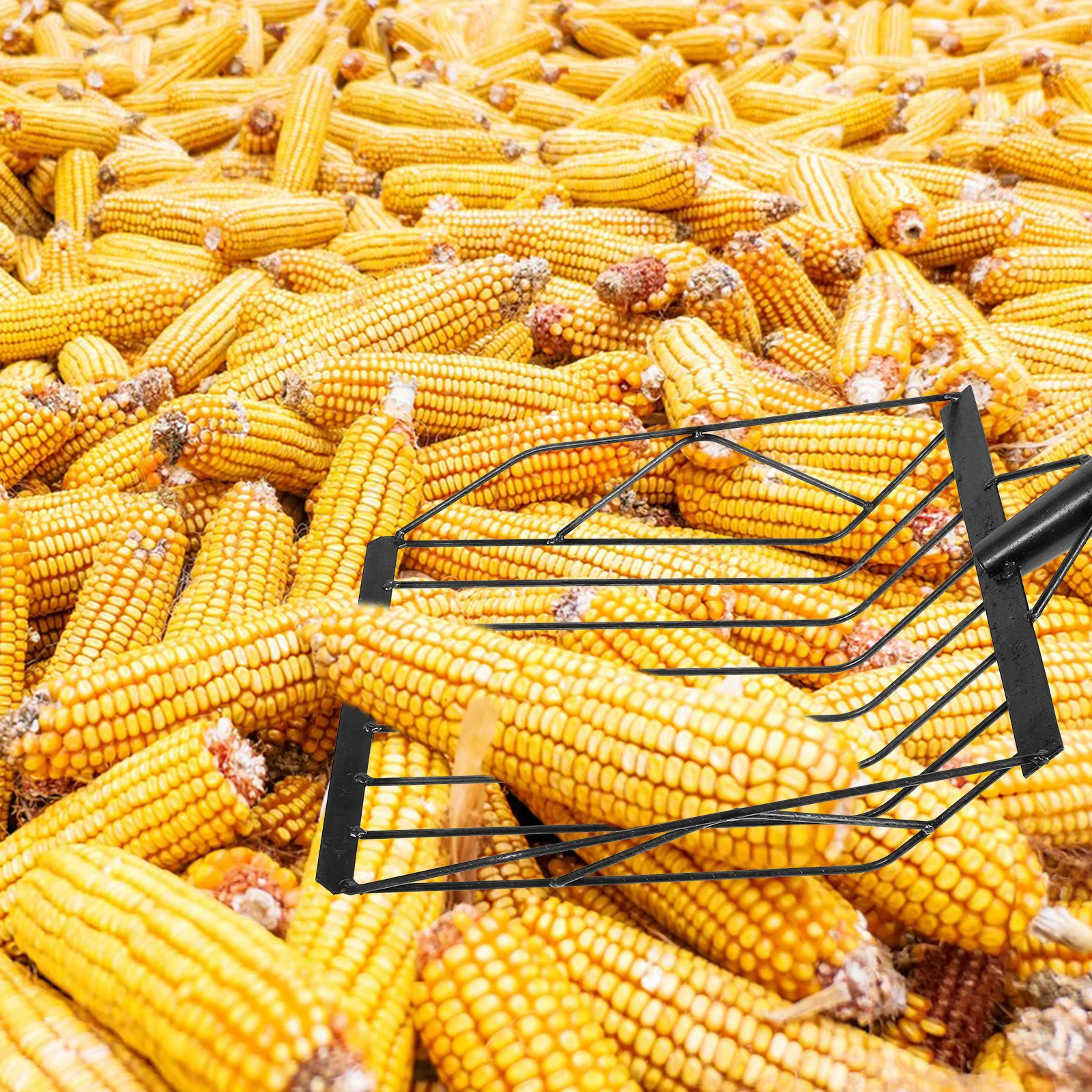 

Maize Grain Shovel Practical Metal Spade Multi-Functional Soil Digging Tool Garden Agricultural Tool Collect Corn Shovel