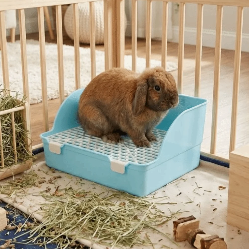 Bandeja Sanitaria Rectangular Antiderrames para Conejos, Inodoro de Entrenamiento Desmontable de Plástico para Animales