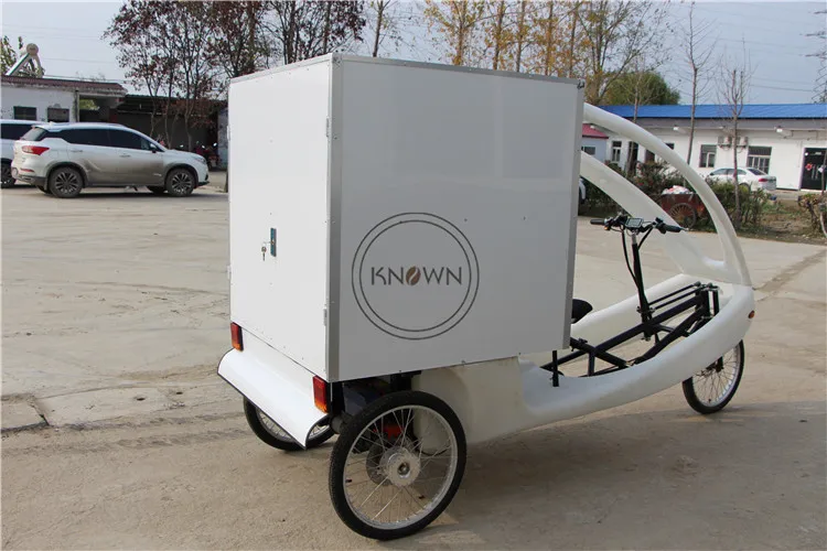 2020 w nowym stylu reklama trike elecric koszyk street side LED pokazujący słowa elektryczny rower dostawczy