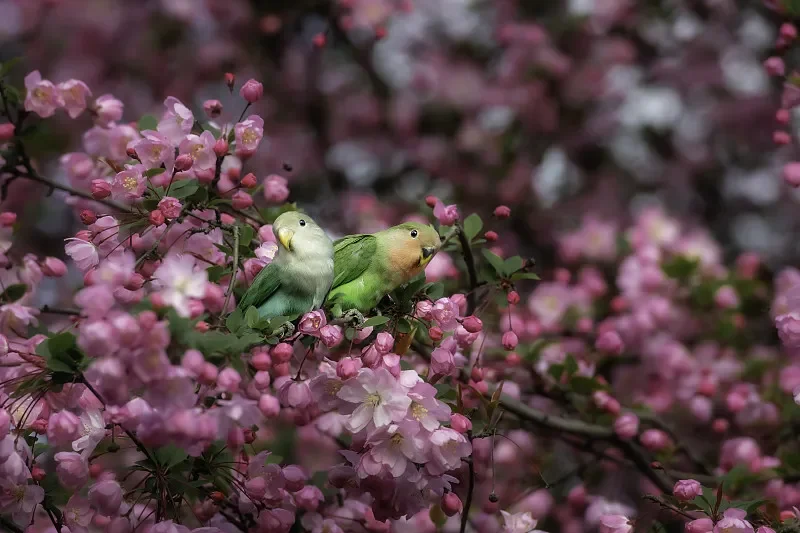 

HBX T10 1/14 2,4G 4WD Матовый радиоуправляемый автомобиль — полностью пропорциональный, 35 км/ч для подростков и начинающих