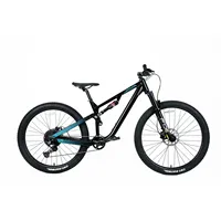 Java Sabbia full suspension soft tailstock 12 speed downhill hydraulic disc brake mountain bike 29 inch mountain bike