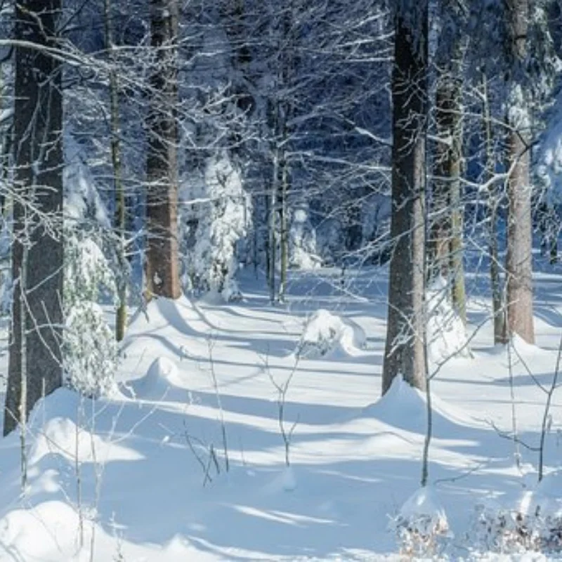 

Металлический передний кронштейн поворотного рычага для 1/10 Tamiya RC внедорожника истребителя NXGEN DT04 58741, детали для самостоятельного изготовления