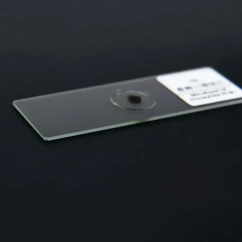 Imagem -03 - Microscope Slides For Basic Science Biology Education Preparado Seções de Tecido Humano Espécime Histológico Profissional 200 Pcs