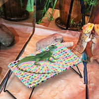 Reptile Hammock Cotton Sleeping Bed Resting Mat for Lizards Bearded Dragon Pet Accessory Reptile Hammock Supplies