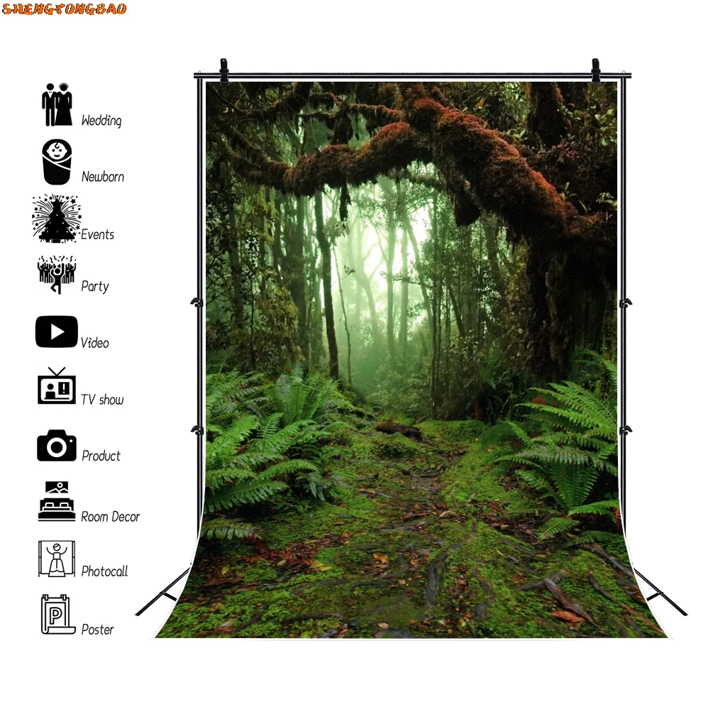 ฤดูใบไม้ผลิทิวทัศน์ธรรมชาติป่าการถ่ายภาพฉากหลังป่าเขตร้อนสีเขียวป่าต้นไม้ผจญภัยเด็กภาพพื้นหลัง