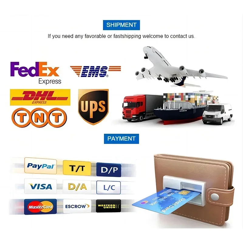 Customs Clearance And Duties Service - Import Export Assistance for Smooth Passage of Goods through Customs