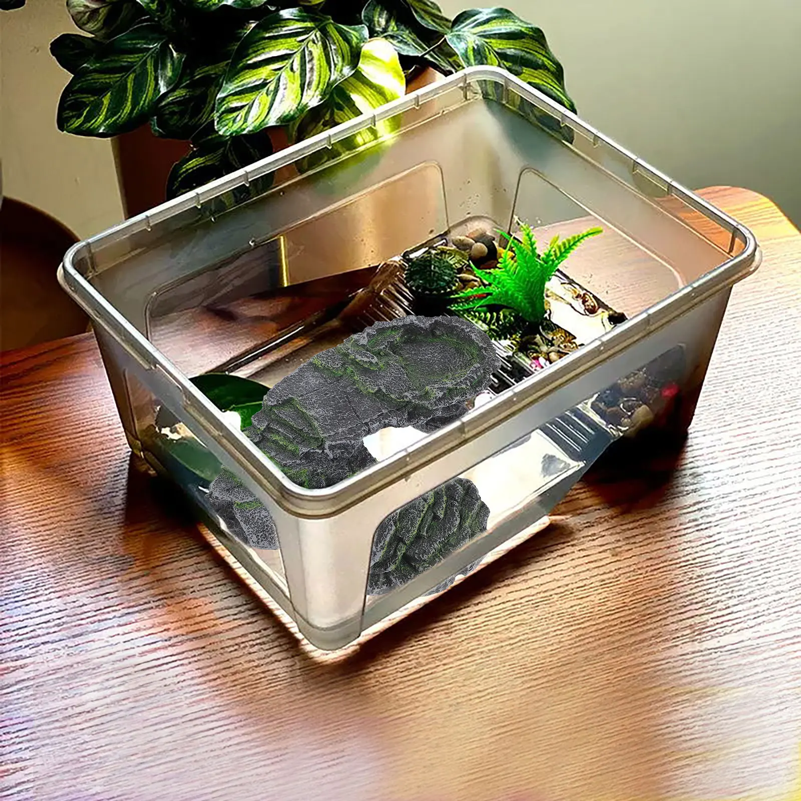 

Turtle Basking Platform Durable Resin Realistic Design Multipurpose Sunbathing Climbing Hiding Aquarium Decoration Turtle Tank